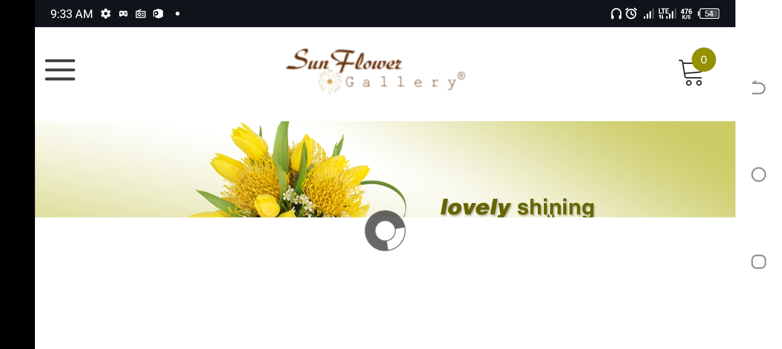 Screenshot_20250525-093309.jpg